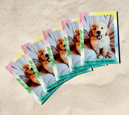 01HTQB1JRRZCBC6K9ZCD6NCD32